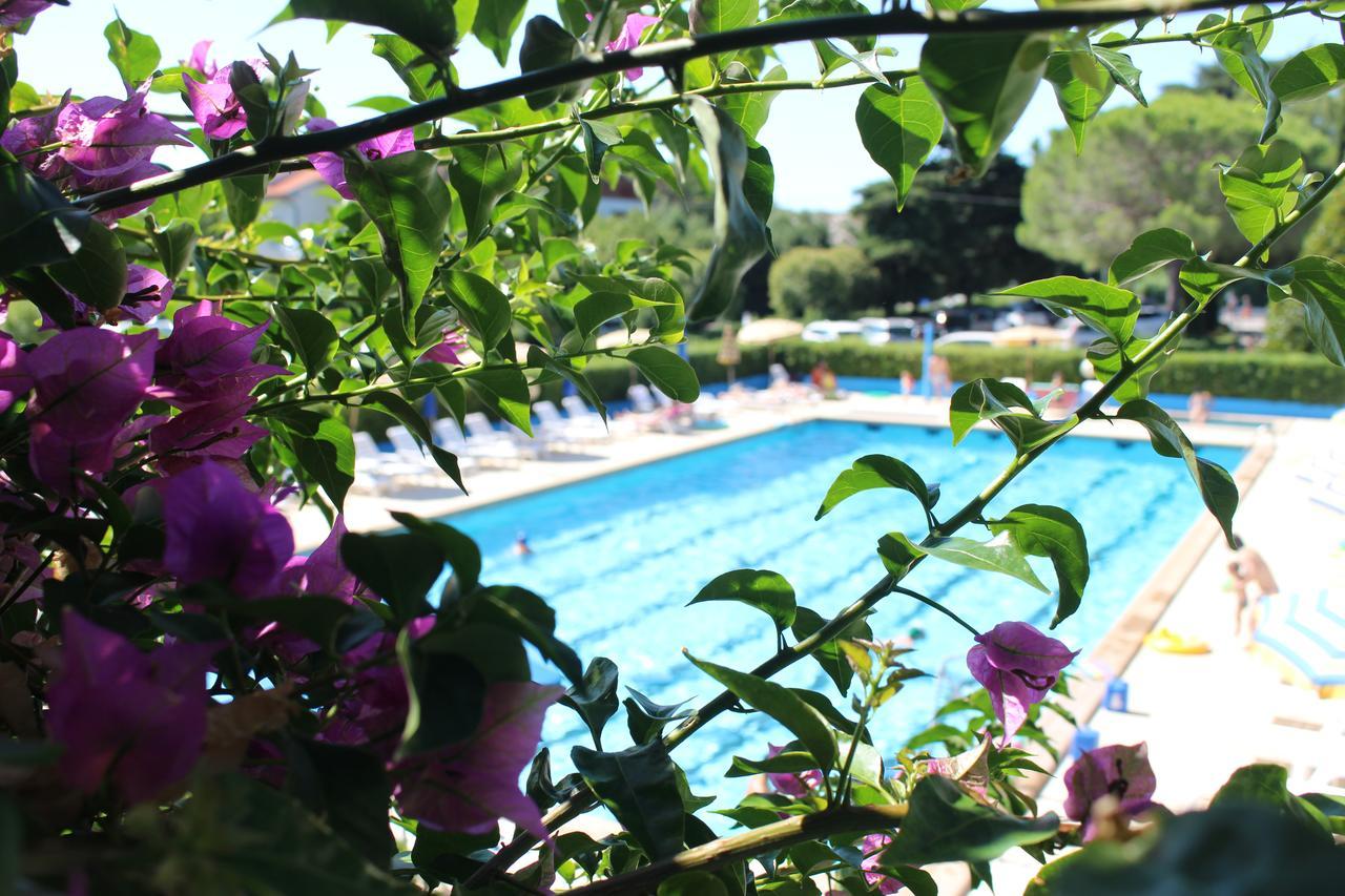 Residence Magnolia Marina Di Bibbona Extérieur photo